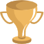 :trophy: